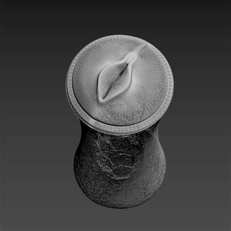 Pussy 3D Models for Free .